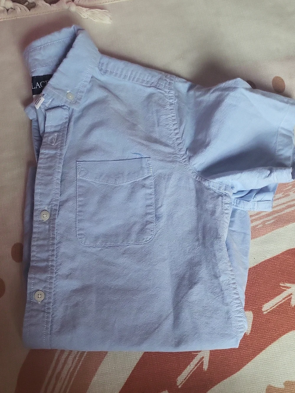 The Children's Place Light Blue Button-Down Shirt